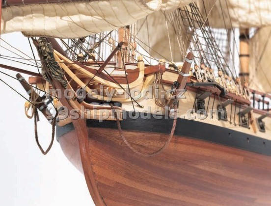 Model lodi  Occre Diana