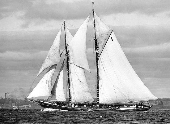 Bluenose na modely-lodi.cz Bluenose na modely-lodi.cz