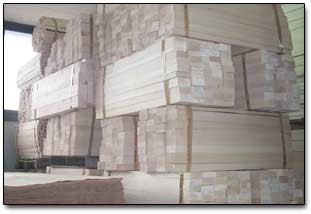 Výroba dřeva pro modely lodí Mantua Model